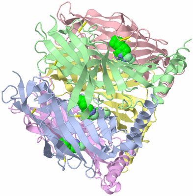 Image Asym./Biol. Unit