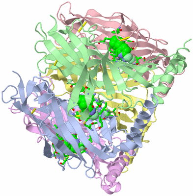 Image Asym./Biol. Unit - sites