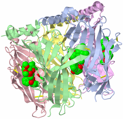 Image Biological Unit 1