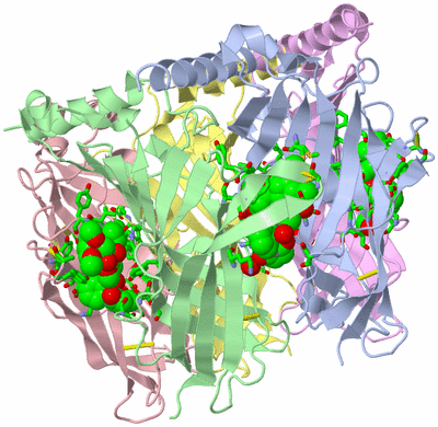 Image Biol. Unit 1 - sites