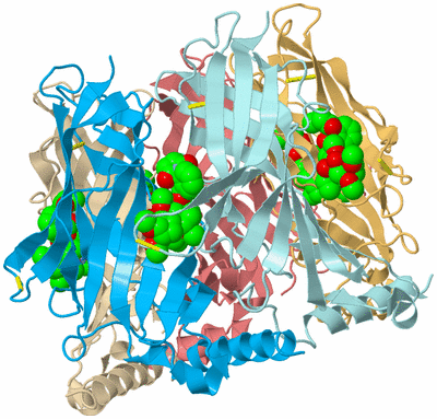 Image Biological Unit 2