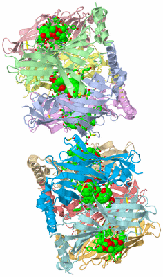 Image Asym. Unit - sites