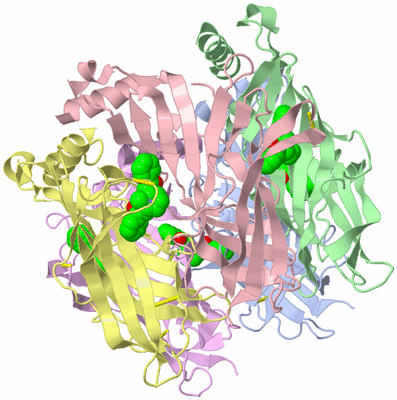 Image Biological Unit 1