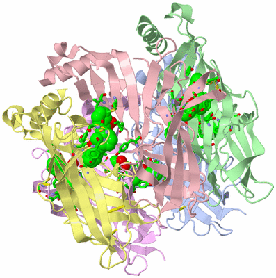 Image Biol. Unit 1 - sites