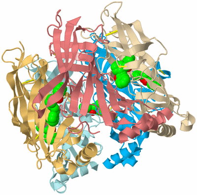 Image Biological Unit 2