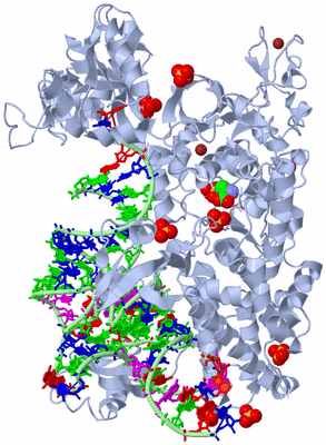 Image Biological Unit 1