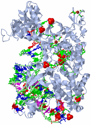 Image Biol. Unit 1 - sites