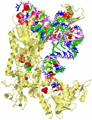 Image Biological Unit 2