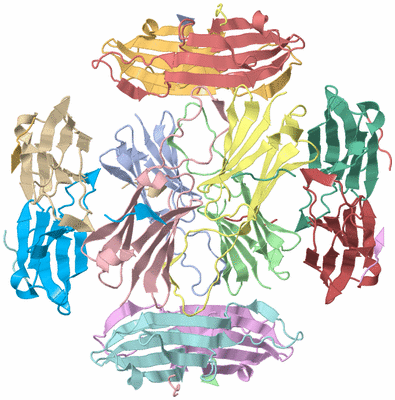 Image Asym./Biol. Unit