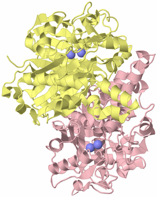 Image Biological Unit 2