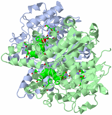 Image Biol. Unit 1 - sites