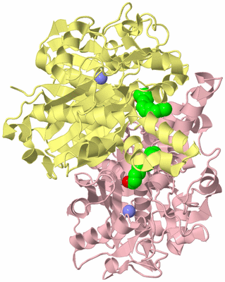 Image Biological Unit 2