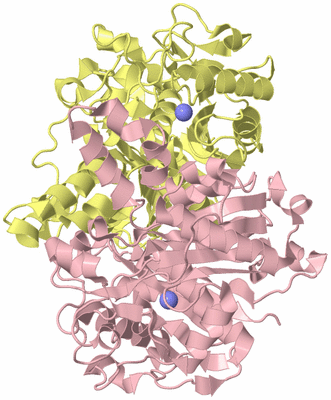 Image Biological Unit 2