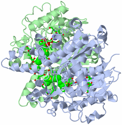 Image Biol. Unit 1 - sites