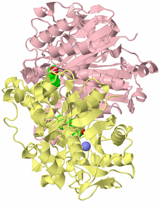 Image Biological Unit 2