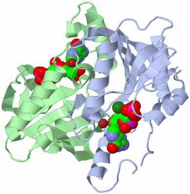 Image Asym./Biol. Unit