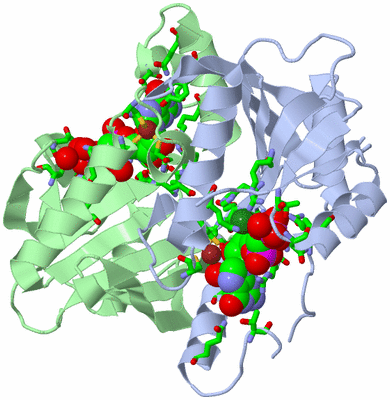 Image Asym./Biol. Unit - sites