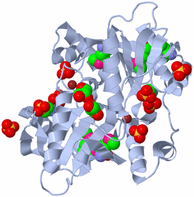 Image Biological Unit 1