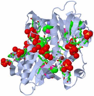 Image Biol. Unit 1 - sites