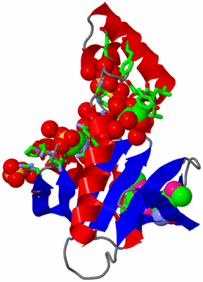 Image Asym. Unit - sites