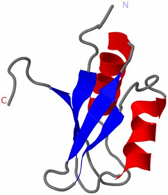 Image NMR Structure - model 1