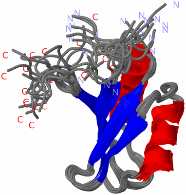 Image NMR Structure - all models