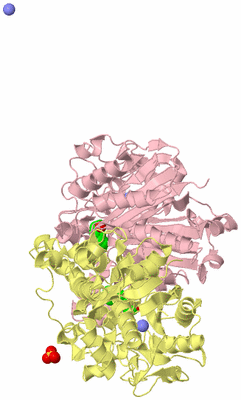 Image Biological Unit 2