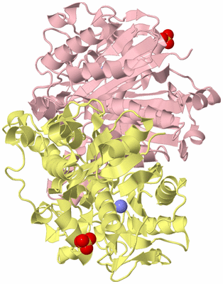 Image Biological Unit 2