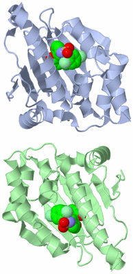 Image Asymmetric Unit