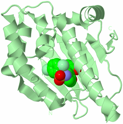 Image Biological Unit 2