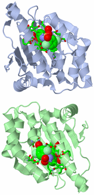 Image Asym. Unit - sites