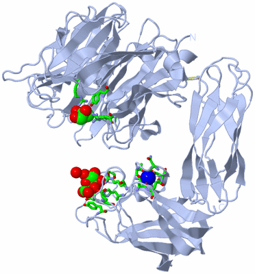 Image Biol. Unit 1 - sites