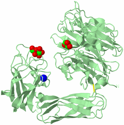 Image Biological Unit 2