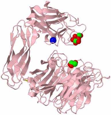 Image Biological Unit 3