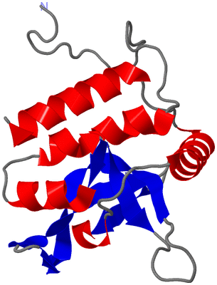 Image NMR Structure - model 1