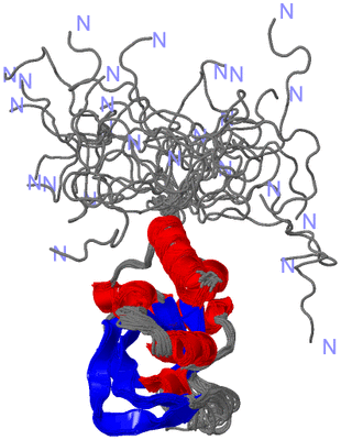 Image NMR Structure - all models