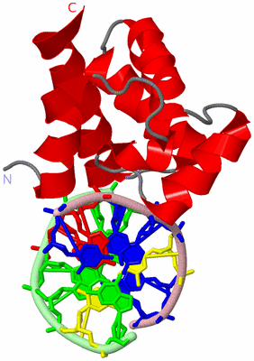 Image Asymmetric Unit