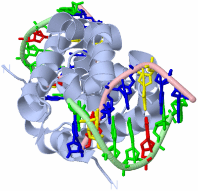 Image Biological Unit 1