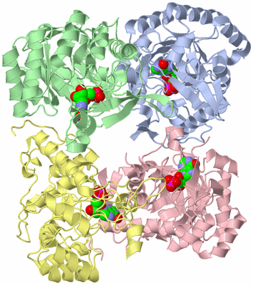 Image Biological Unit 1