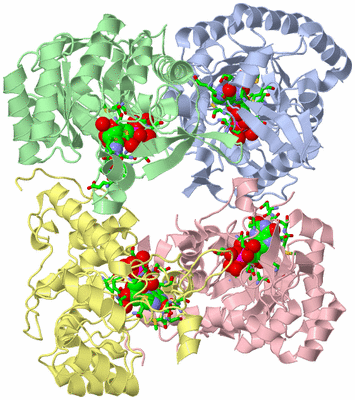 Image Biol. Unit 1 - sites