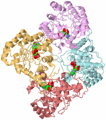 Image Biological Unit 2