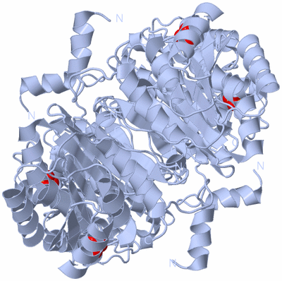 Image Biological Unit 1