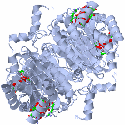 Image Biol. Unit 1 - sites