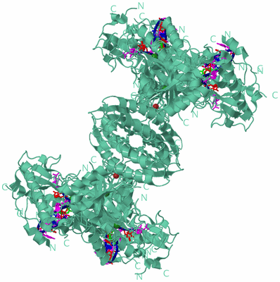 Image Biological Unit 1