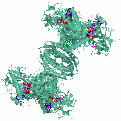 Image Biol. Unit 1 - sites