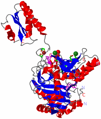 Image Asym. Unit - sites