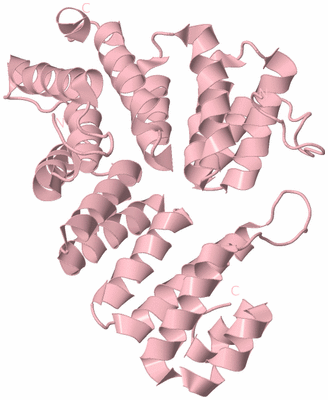 Image Biological Unit 3