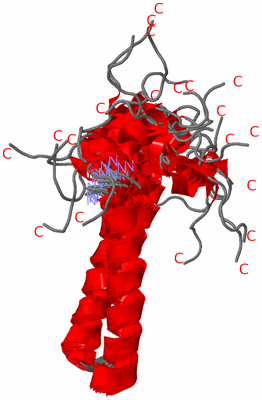 Image NMR Structure - all models