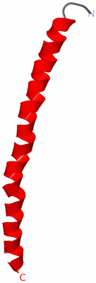 Image Asymmetric Unit