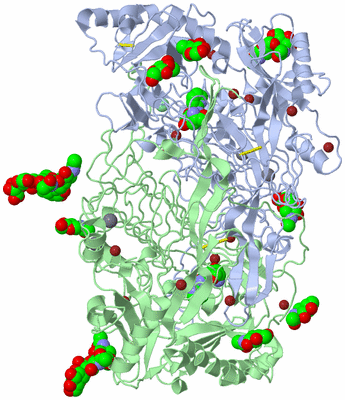 Image Biological Unit 1